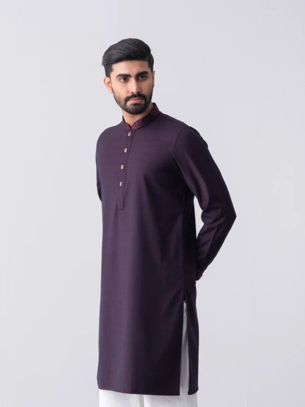 Regular Fit Embroidered Formal Panjabi